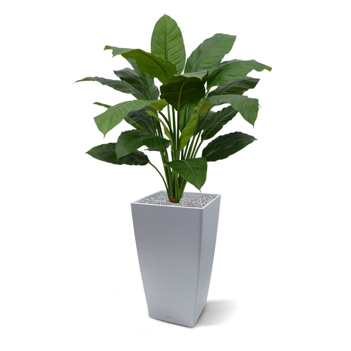 Spathiphyllum King kunstplant 100cm - groen