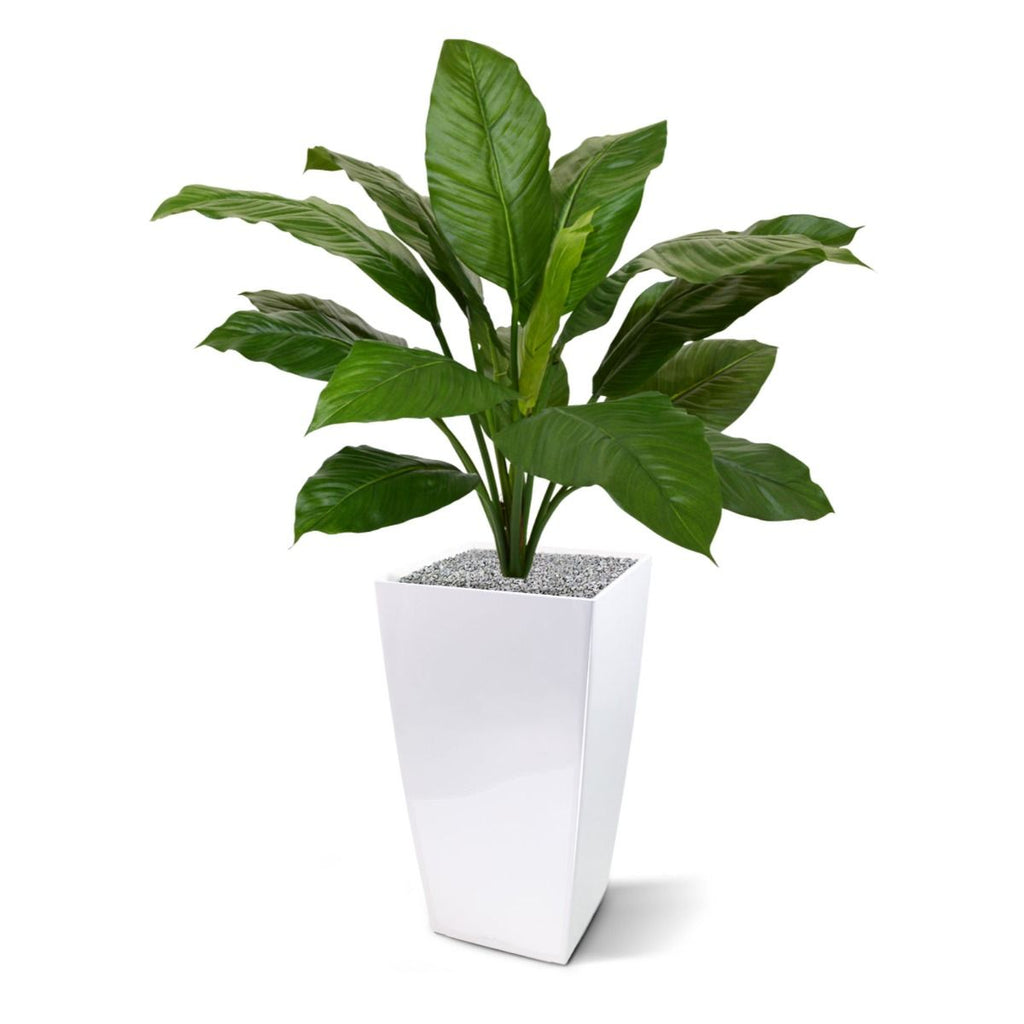 Spathiphyllum King kunstplant 80cm - groen