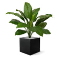 Spathiphyllum King kunstplant 80cm - groen