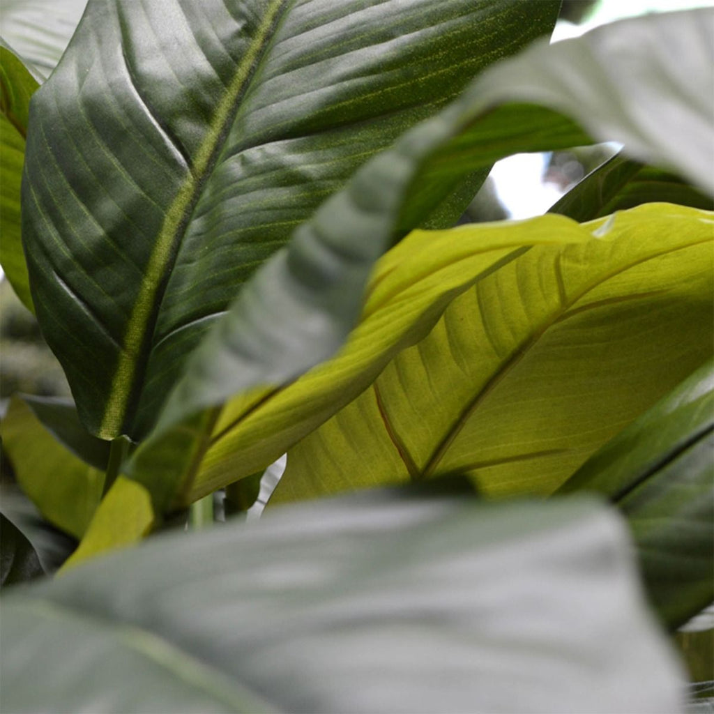 Spathiphyllum King kunstplant 80cm - groen