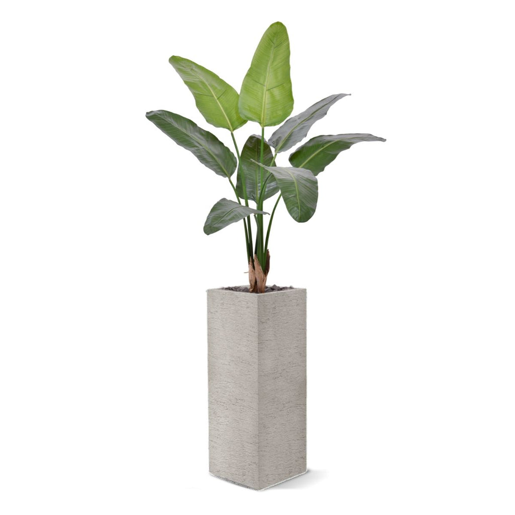 Strelitzia Nicolai deluxe Kunstpalm 125cm in pot