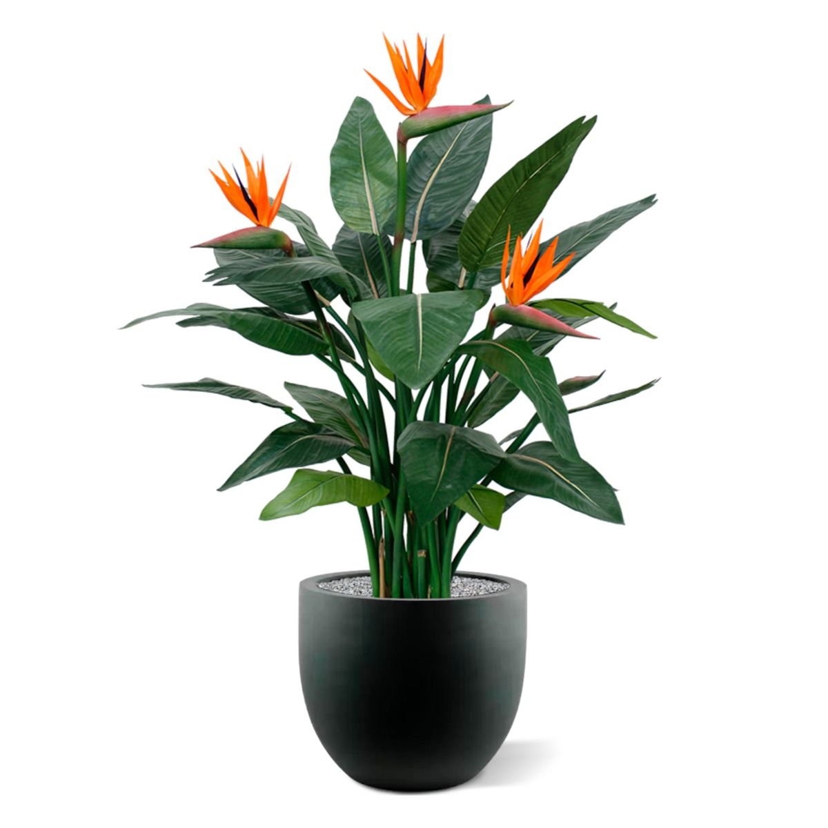 Strelitzia kunstplant deluxe 115cm