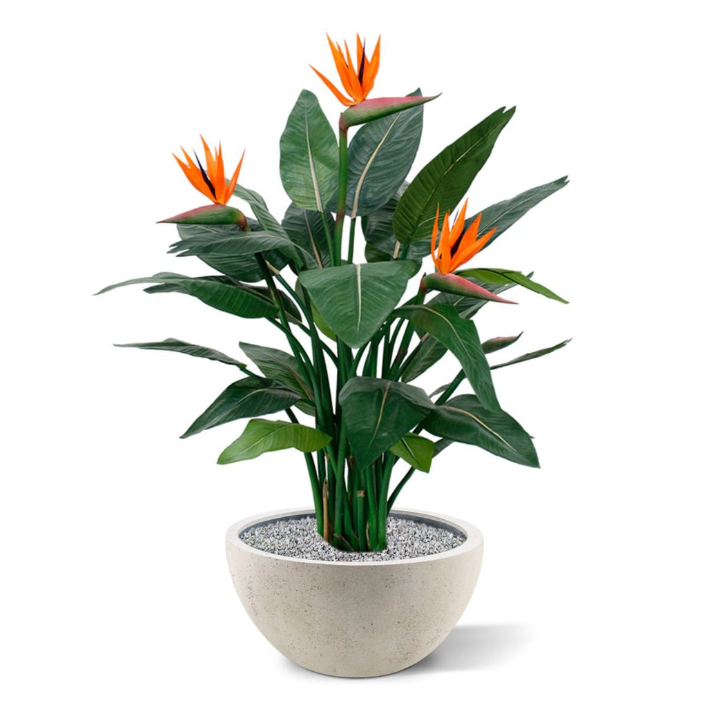 Strelitzia kunstplant deluxe 115cm