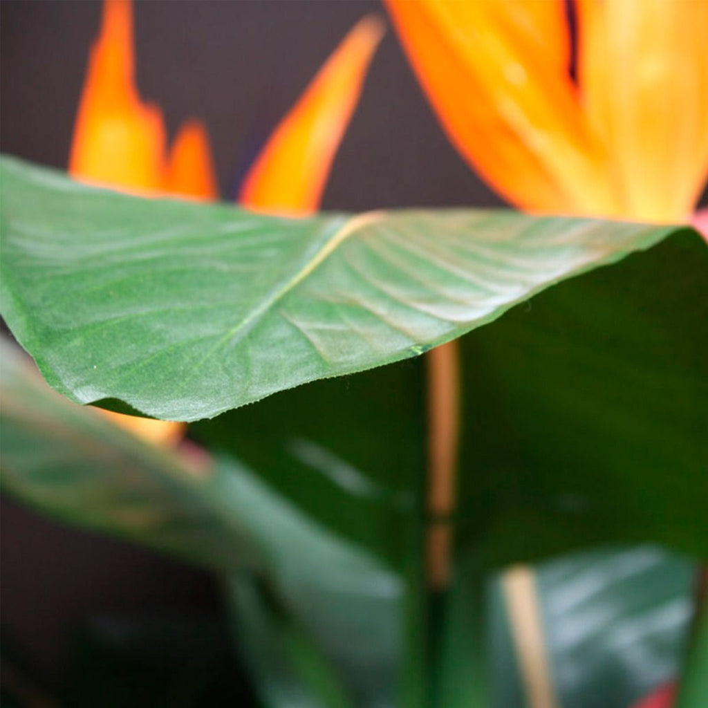 Strelitzia kunstplant deluxe 115cm