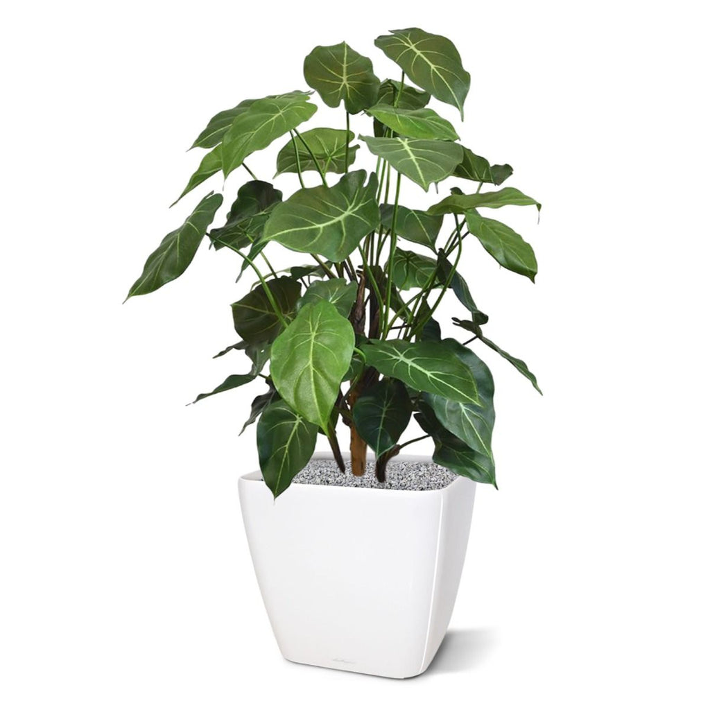 Syngonium deluxe kunstplant 85cm