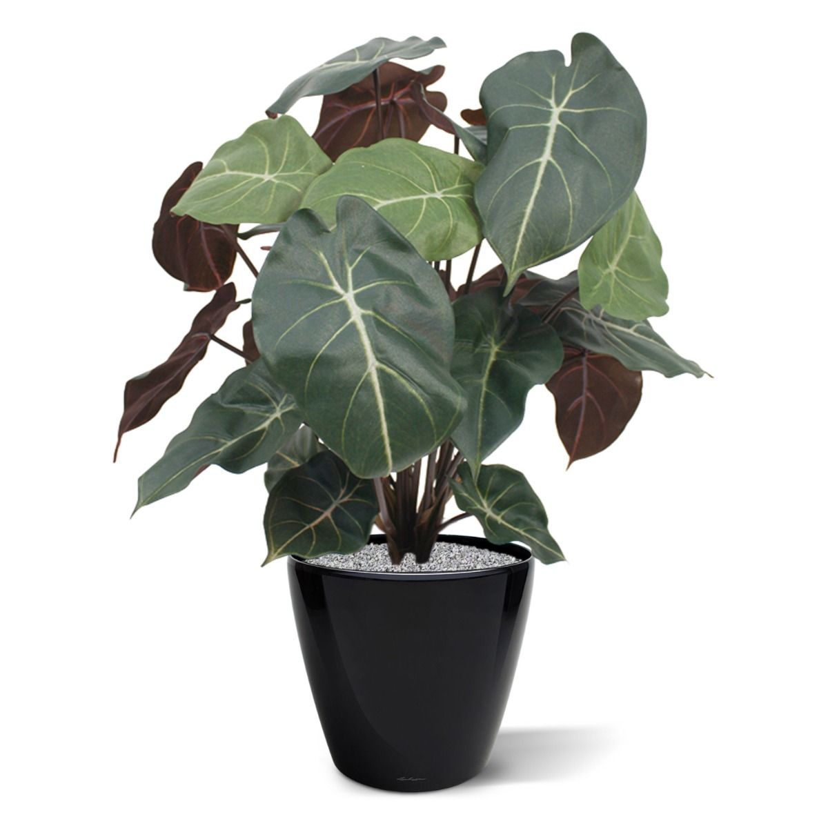 Syngonium kunstplant 60cm
