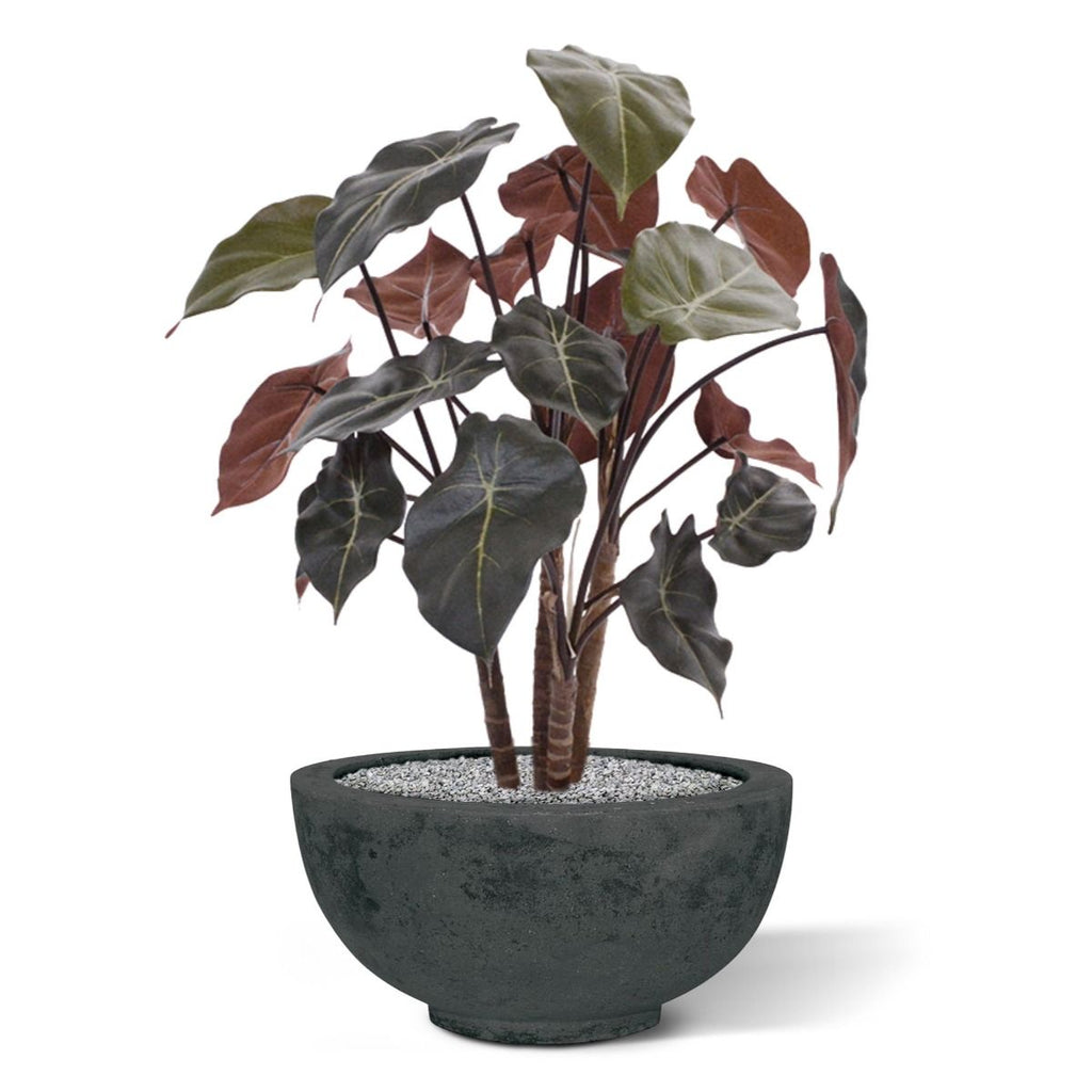 Syngonium kunstplant op hout 60cm
