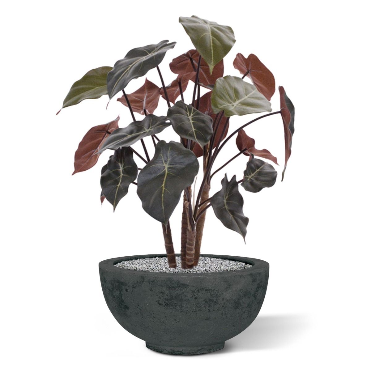 Syngonium kunstplant op hout 60cm