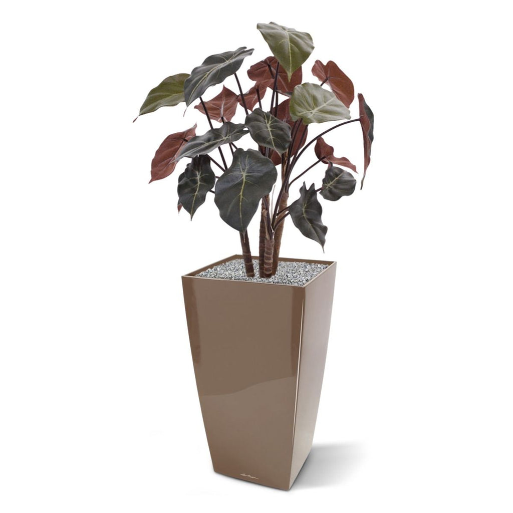 Syngonium kunstplant op hout 60cm