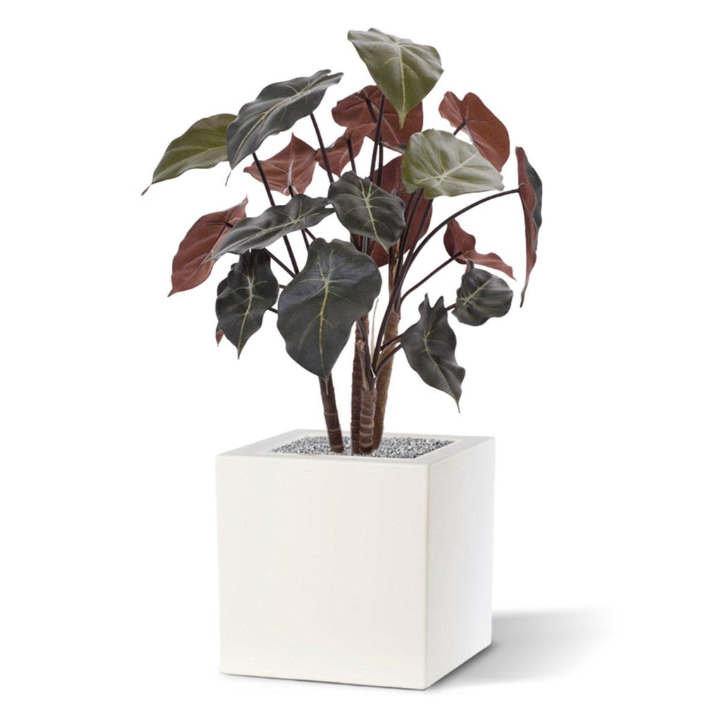Syngonium kunstplant op hout 60cm