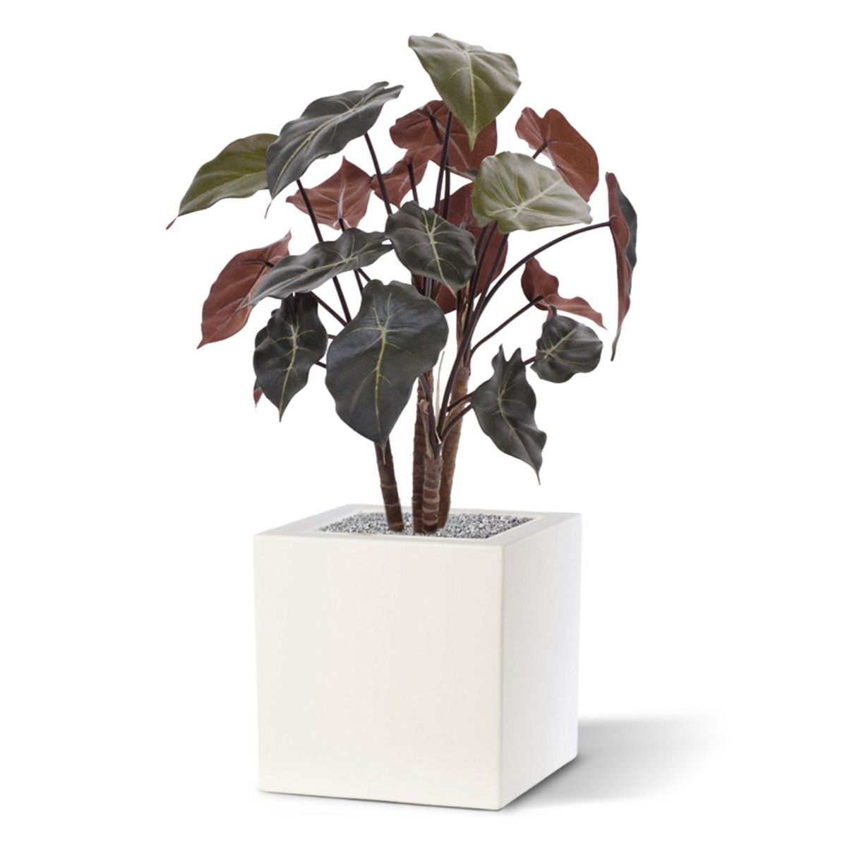 Syngonium kunstplant op hout 60cm