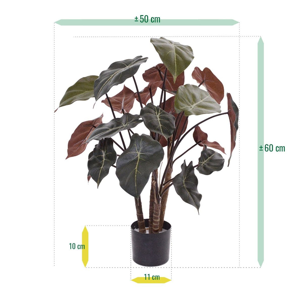 Syngonium kunstplant op hout 60cm