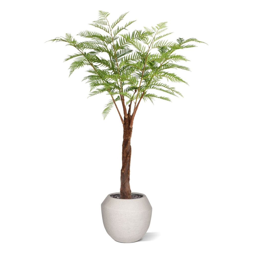 Woodwardia Kunstpalm Deluxe 220cm N