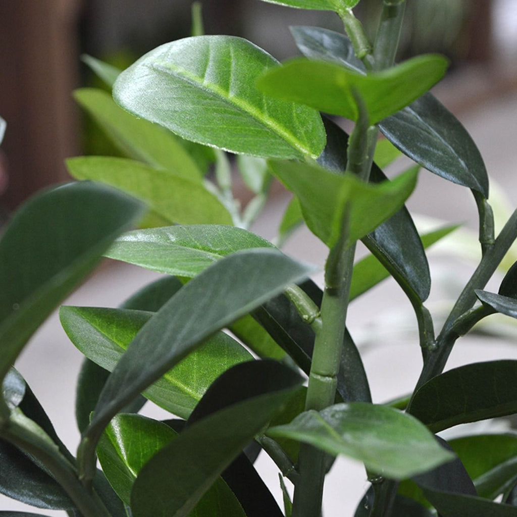 Zamioculcas kunstplant 55cm